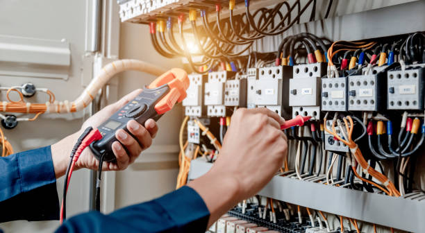 Best Electric Panel Repair  in Coal City, IL